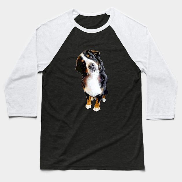 Bernese Mountain Dog Cute Head Tilt Baseball T-Shirt by ElegantCat